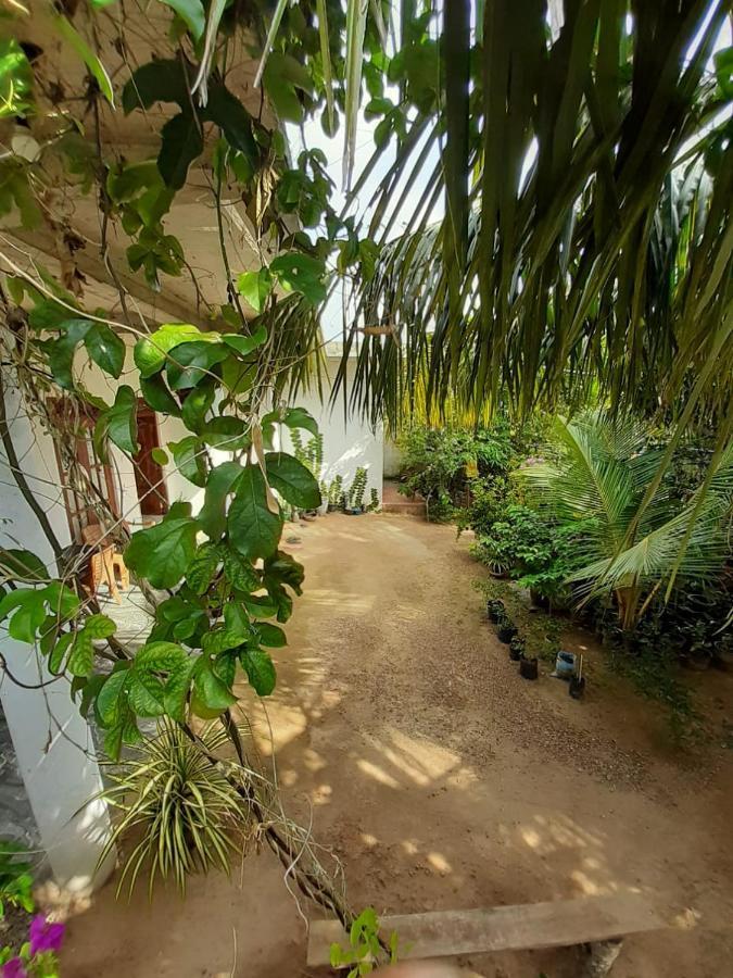 Hotel Loku Mirissa Esterno foto